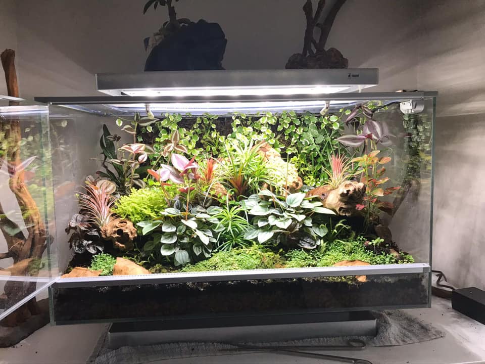 Biopod Smart Microhabitat