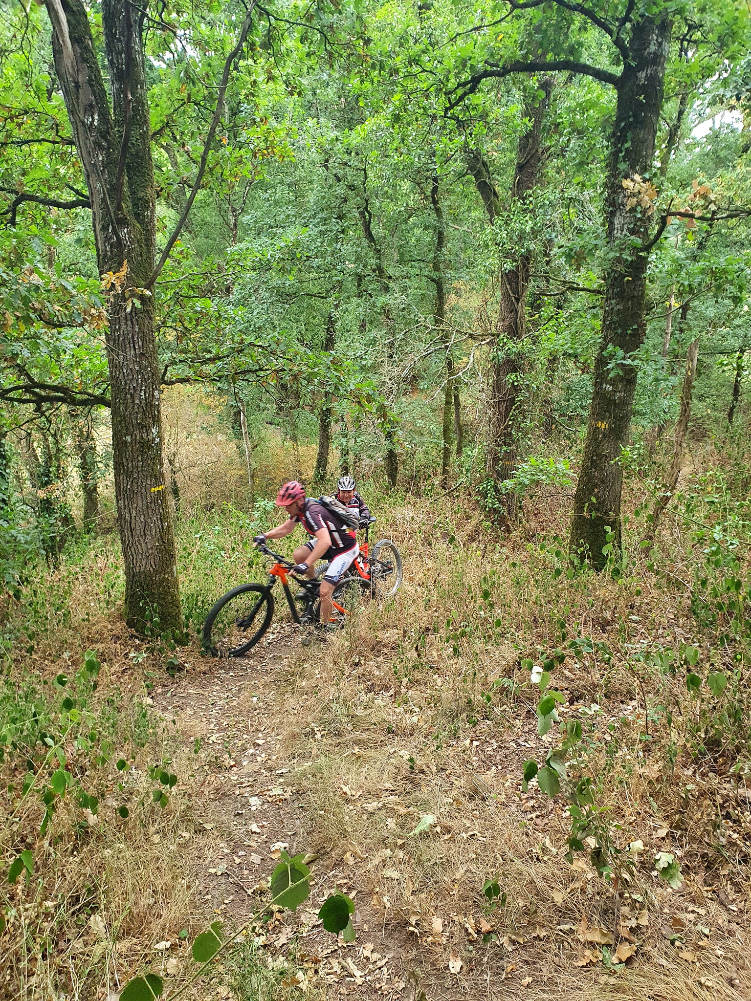 Rando Vtt Saint Mars Sur La Futaie
