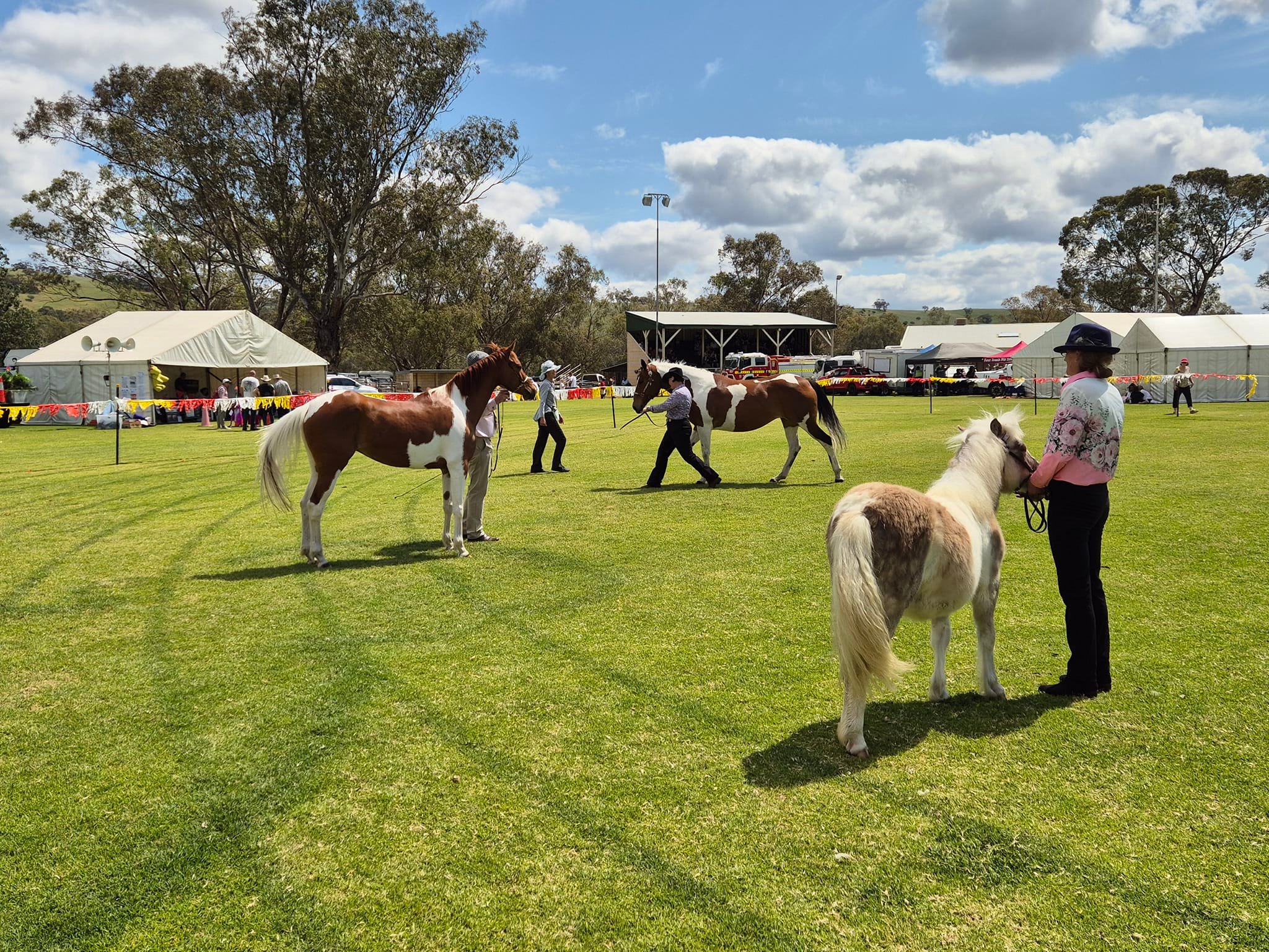 Toodyay Ag Show Equestrian Events