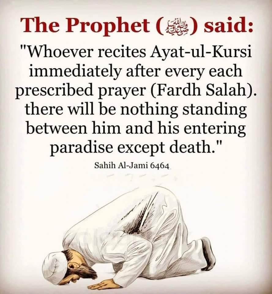 Submit - Keep it to your timeline!! #islam #muslim #allah #sunnah # ...