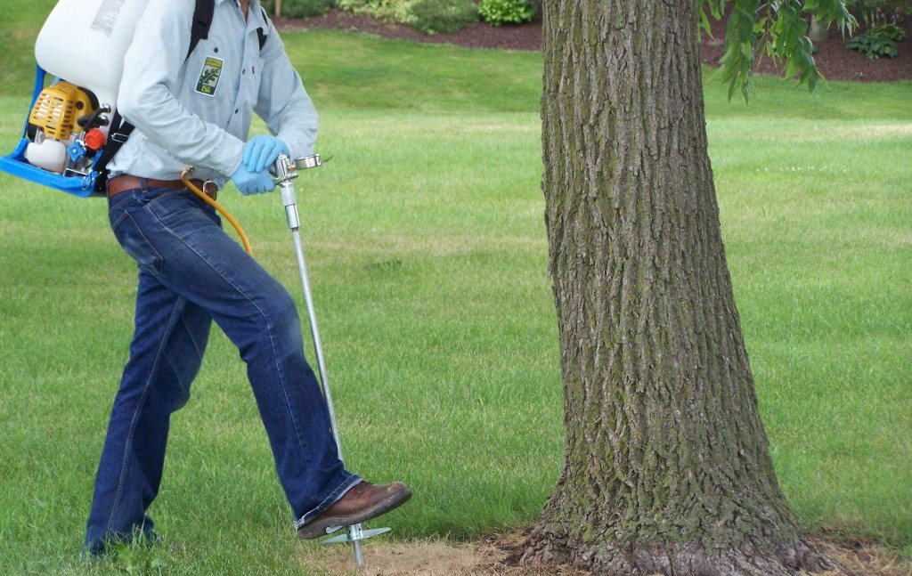 West Coast Tree Pros | Long Beach CA