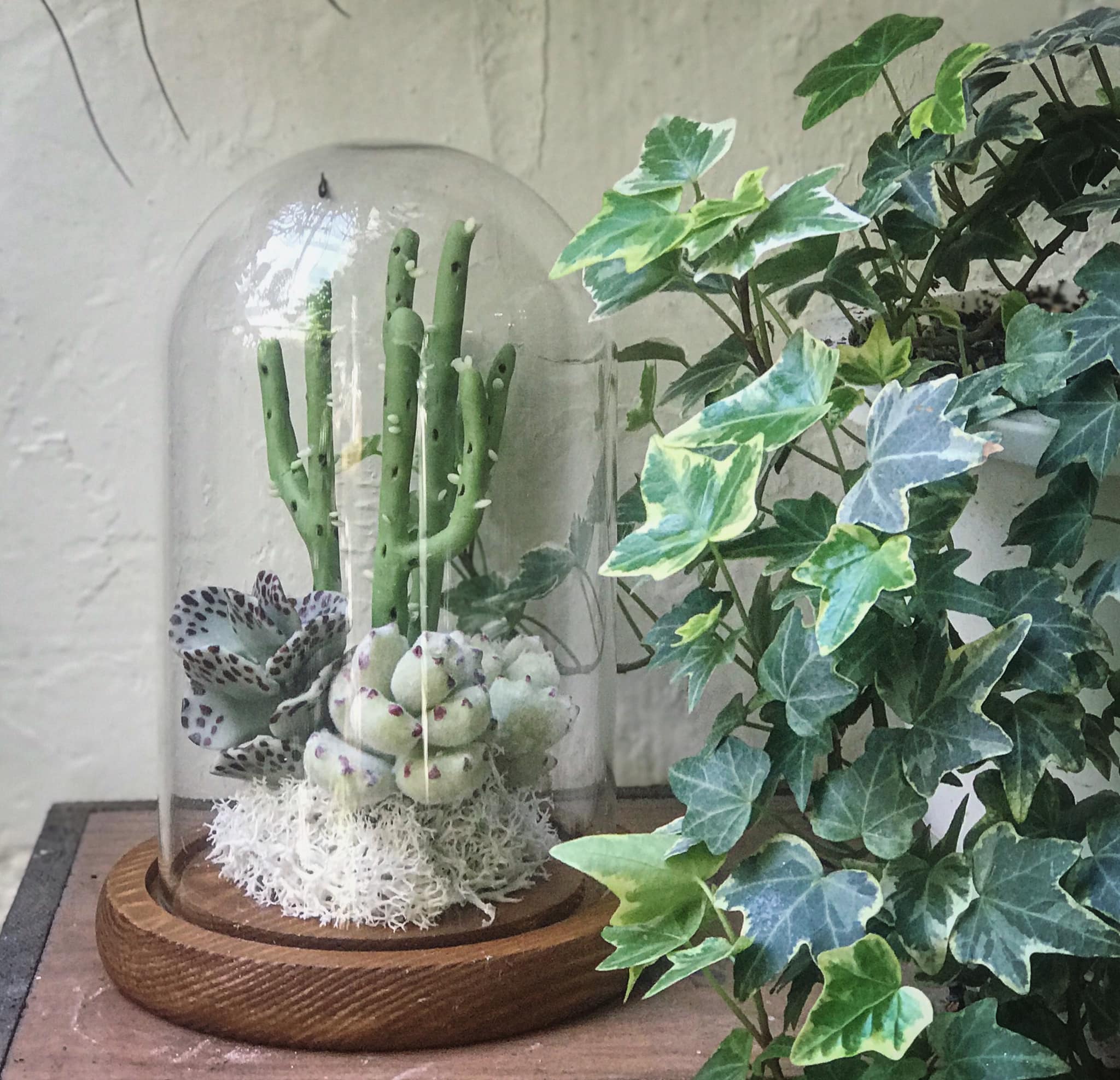 生活中的熱情，由自... - 青晨花實 Interior / Flower / Life 室內空間規劃 ‧ 花藝&黏土 | Facebook