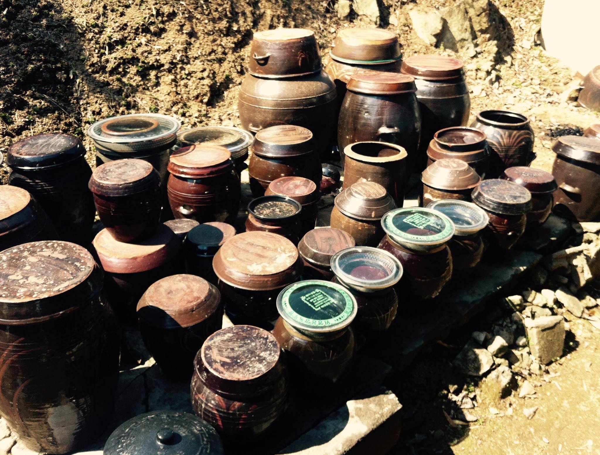 逃現郷 - この春、逃現郷を卒業した東君が、東山安井に 「菊しんコーヒー」をオープンしました。 東大路の喧騒の向こう側、素敵な息抜き空間でした ...