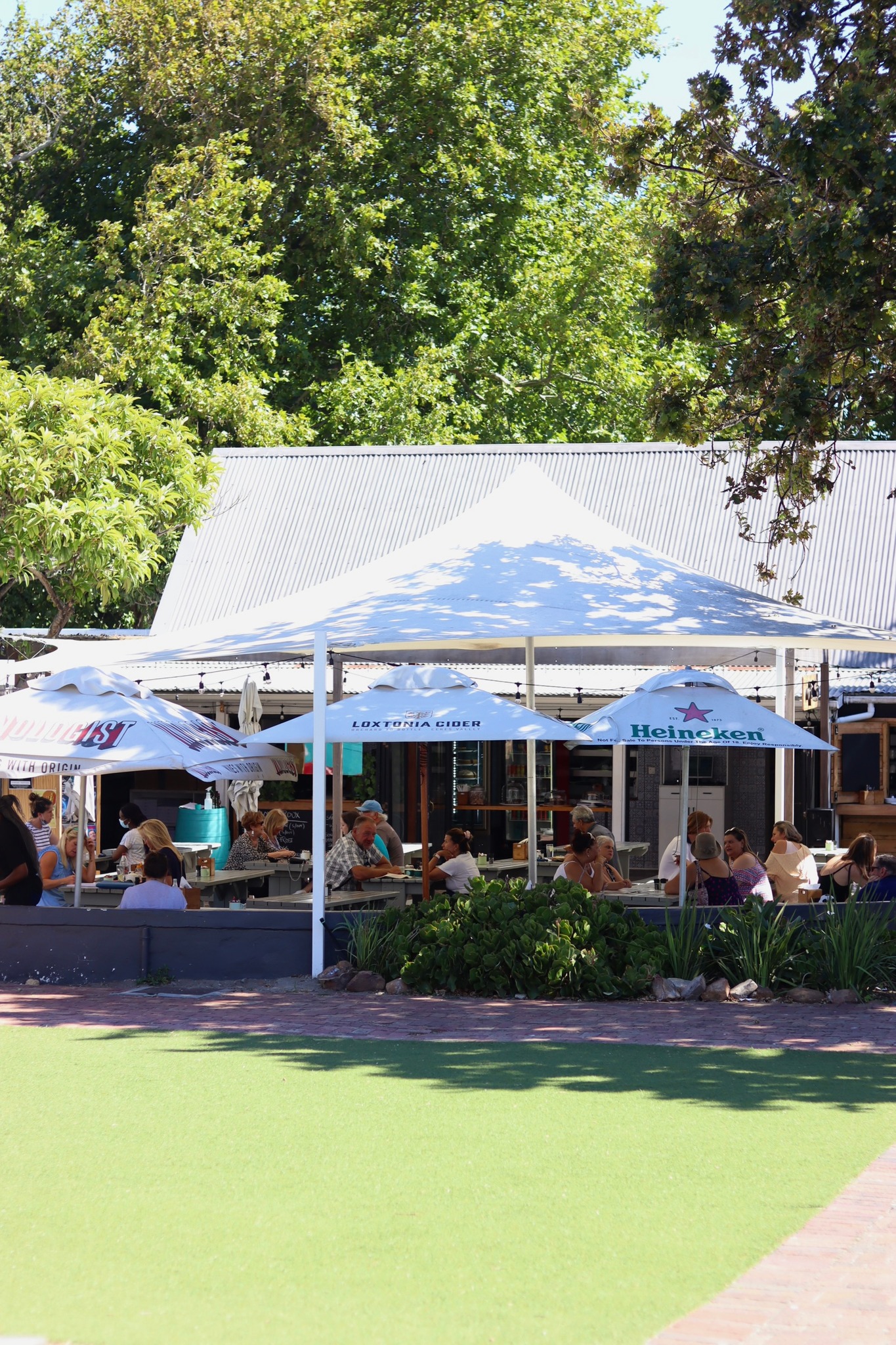 The gorgeous outside area of cafe... - Noordhoek Farm Village