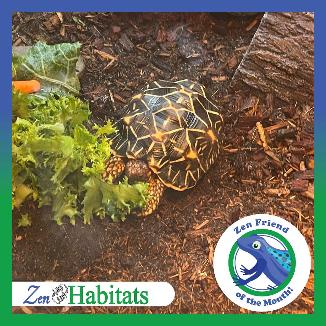 Zen Habitats - Congratulations to our August Zen Friend of...