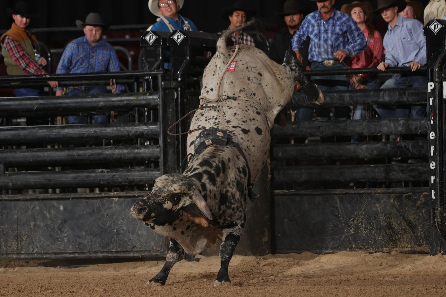 The 87 Slide Futurity... - American Bucking Bull Inc. | Facebook