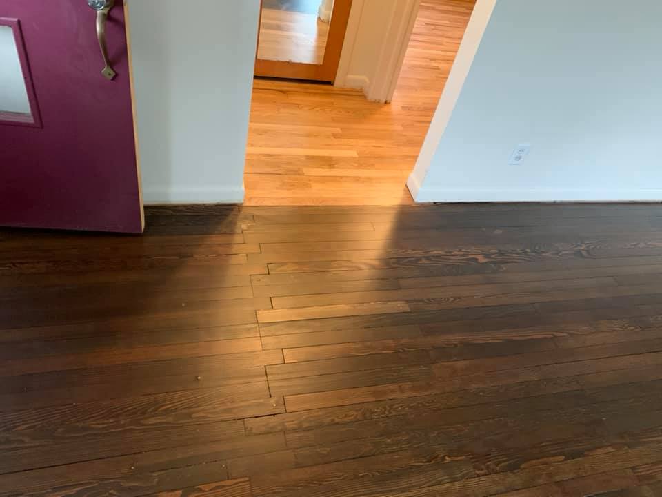 Forest Wood Flooring | Holland MI