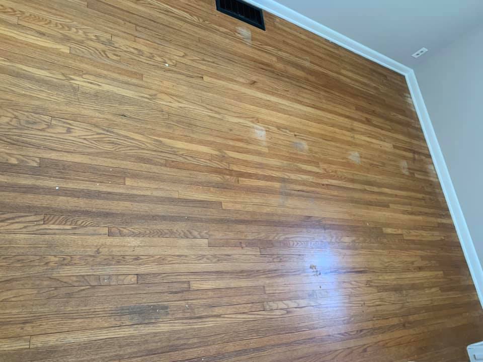 Forest Wood Flooring | Holland MI