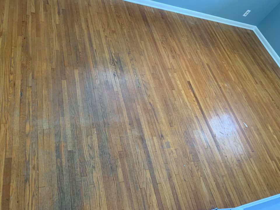 Forest Wood Flooring | Holland MI