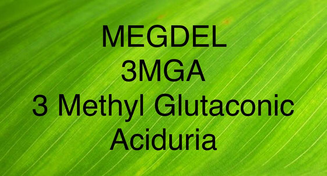 Megdel/3mga/3 Methyl Glutaconic Aciduria