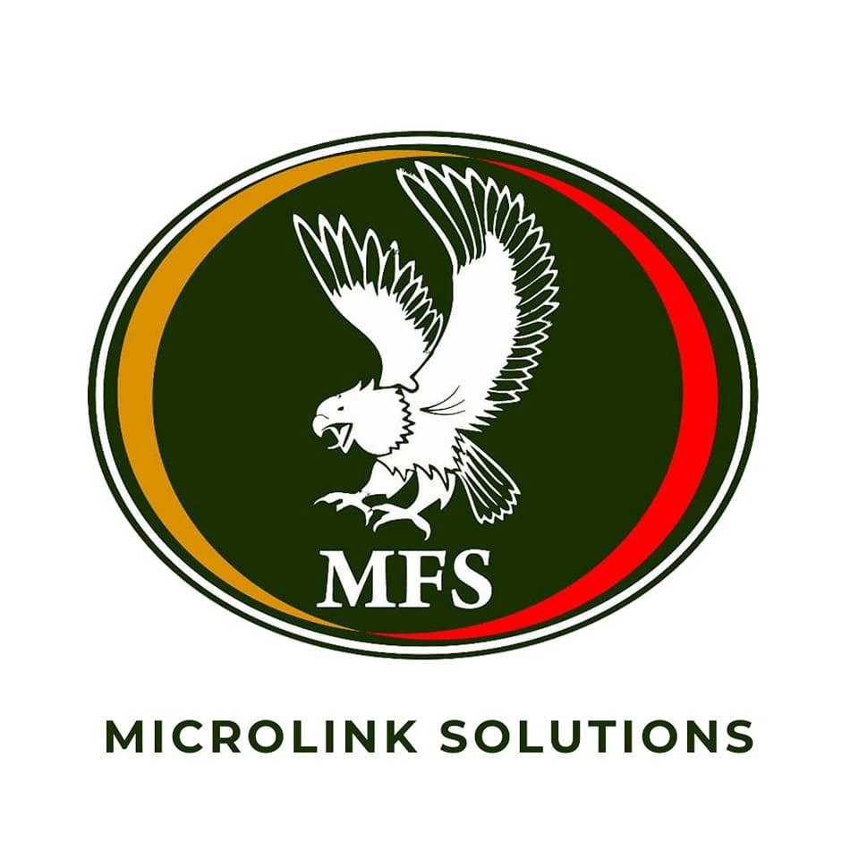 Microlink Solutions Limited