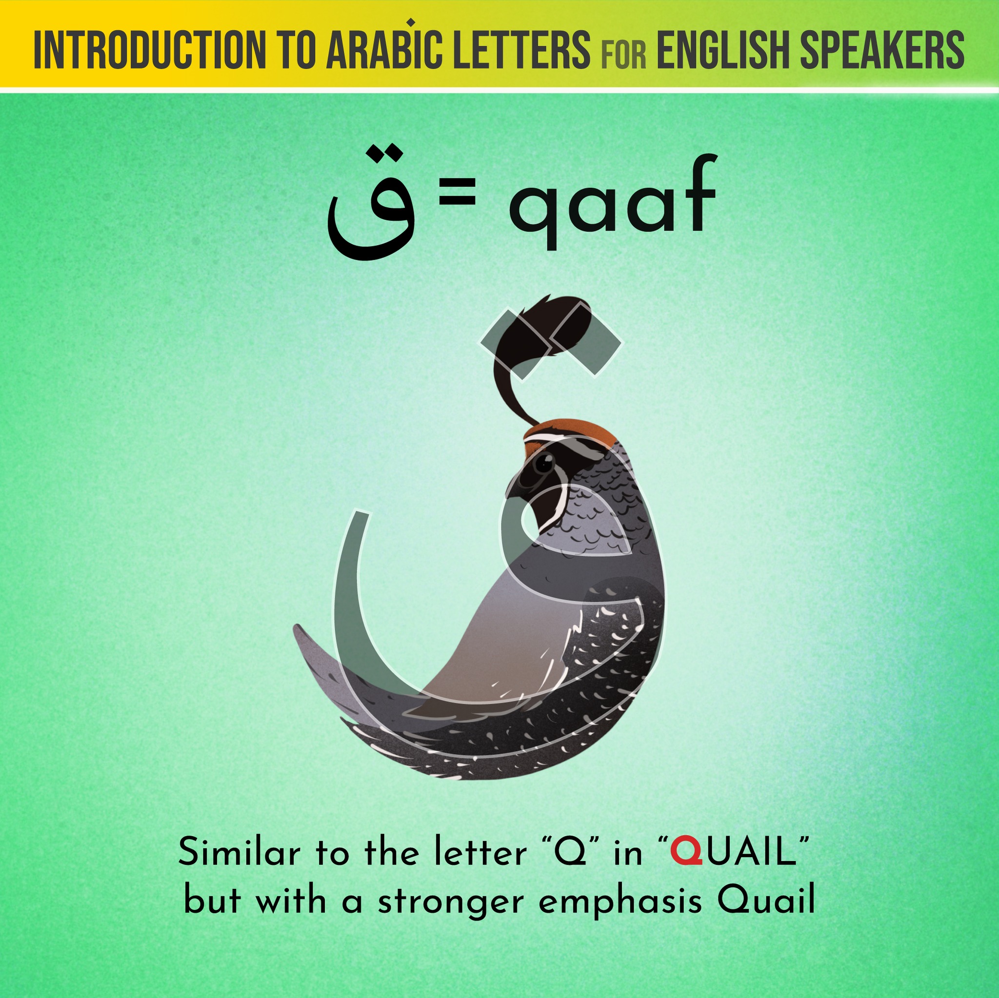 Arabic Unlocked - The letter ق is like the English letter...
