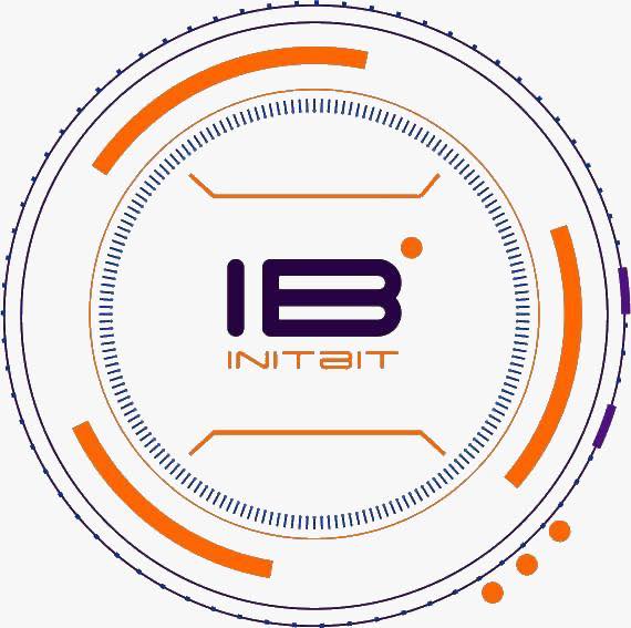InitBit