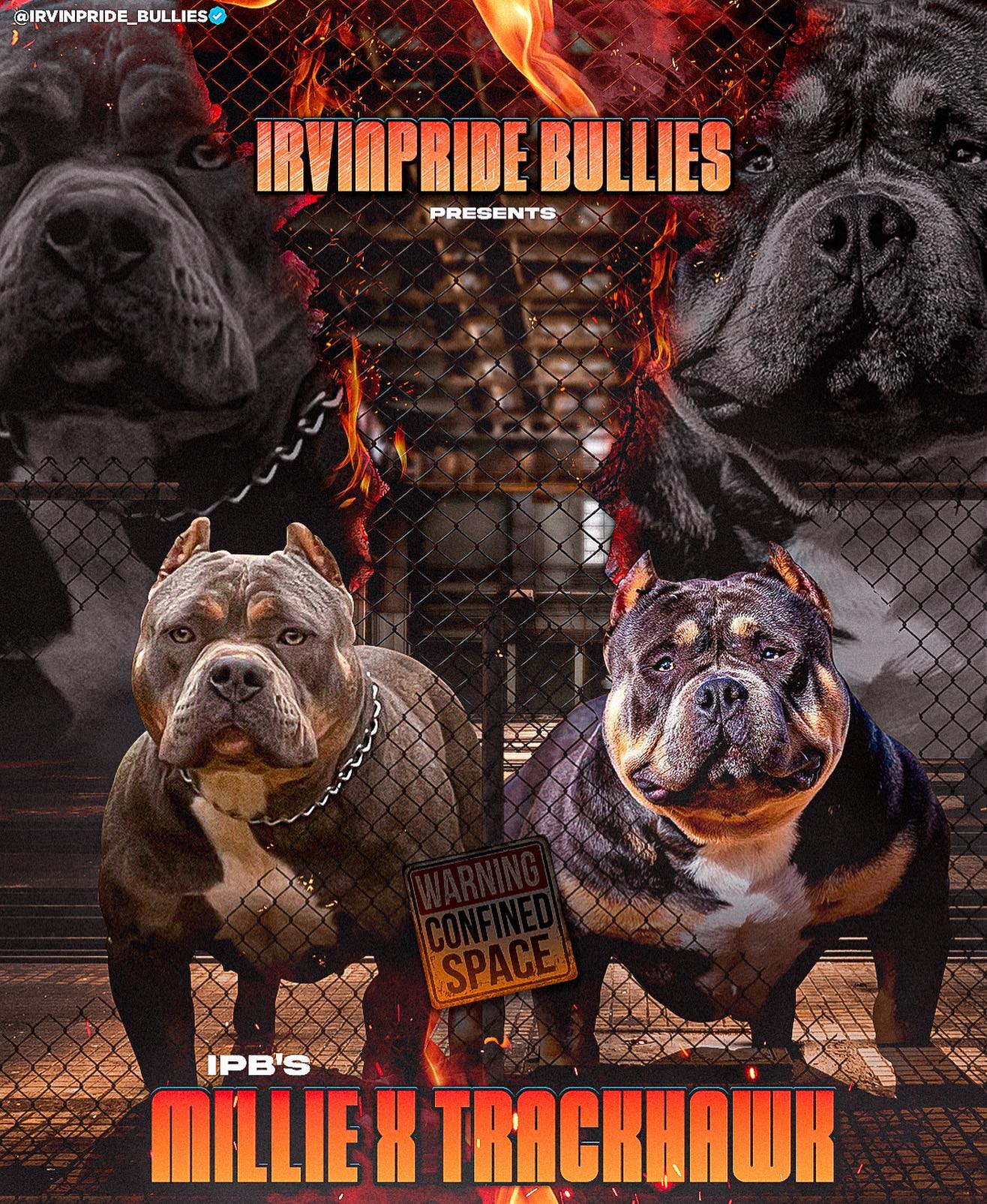 Irvin - 💰MILLIE💰X 💨TRACKHAWK💨 A LITTER YOU DON’T WANNA MISS 🔥🔥🔥STAY ...