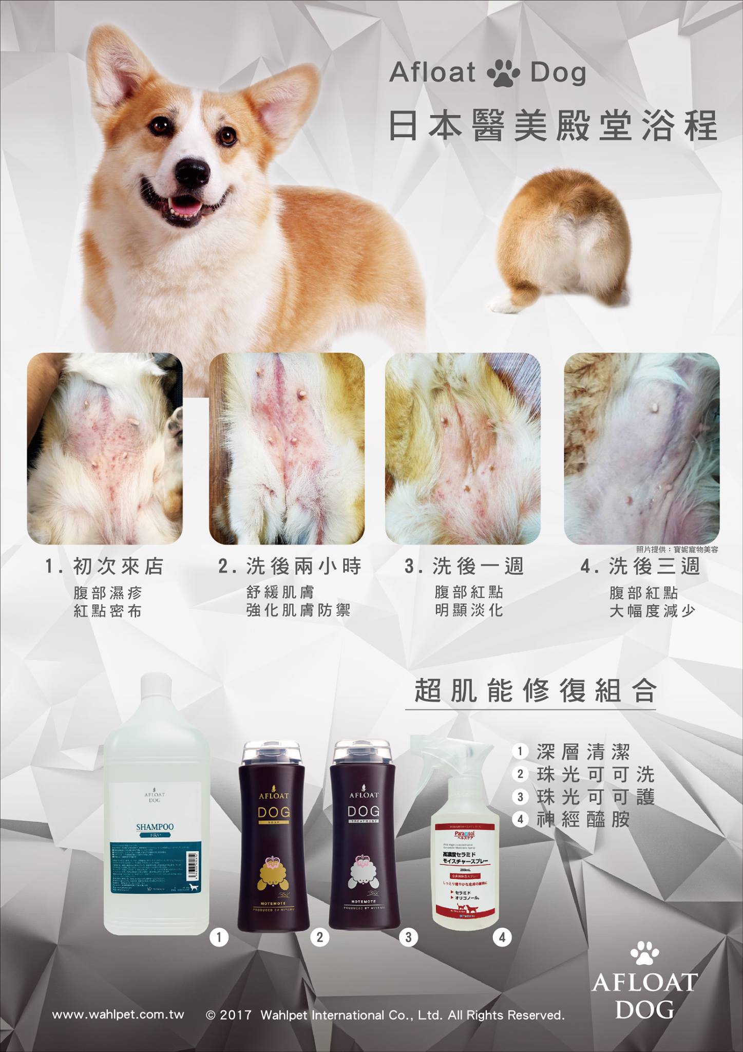 艾芙樂 afpet TW - 🐾AFLOAT DOG 重現 #毛小孩健康肌 針對 #問題肌膚 的胺基酸日式洗浴🛁...