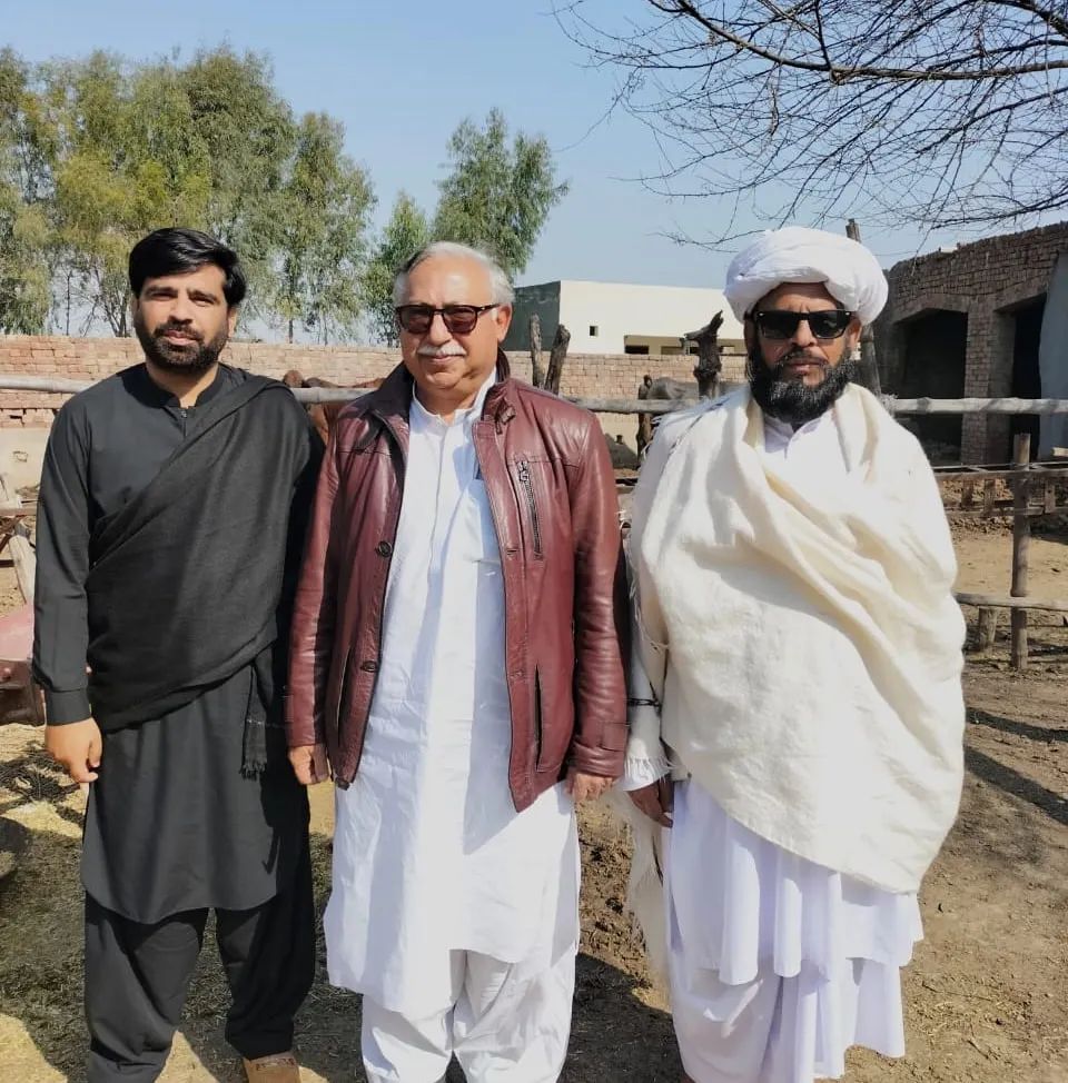Malik Awais Hayat Rajput Jaliana