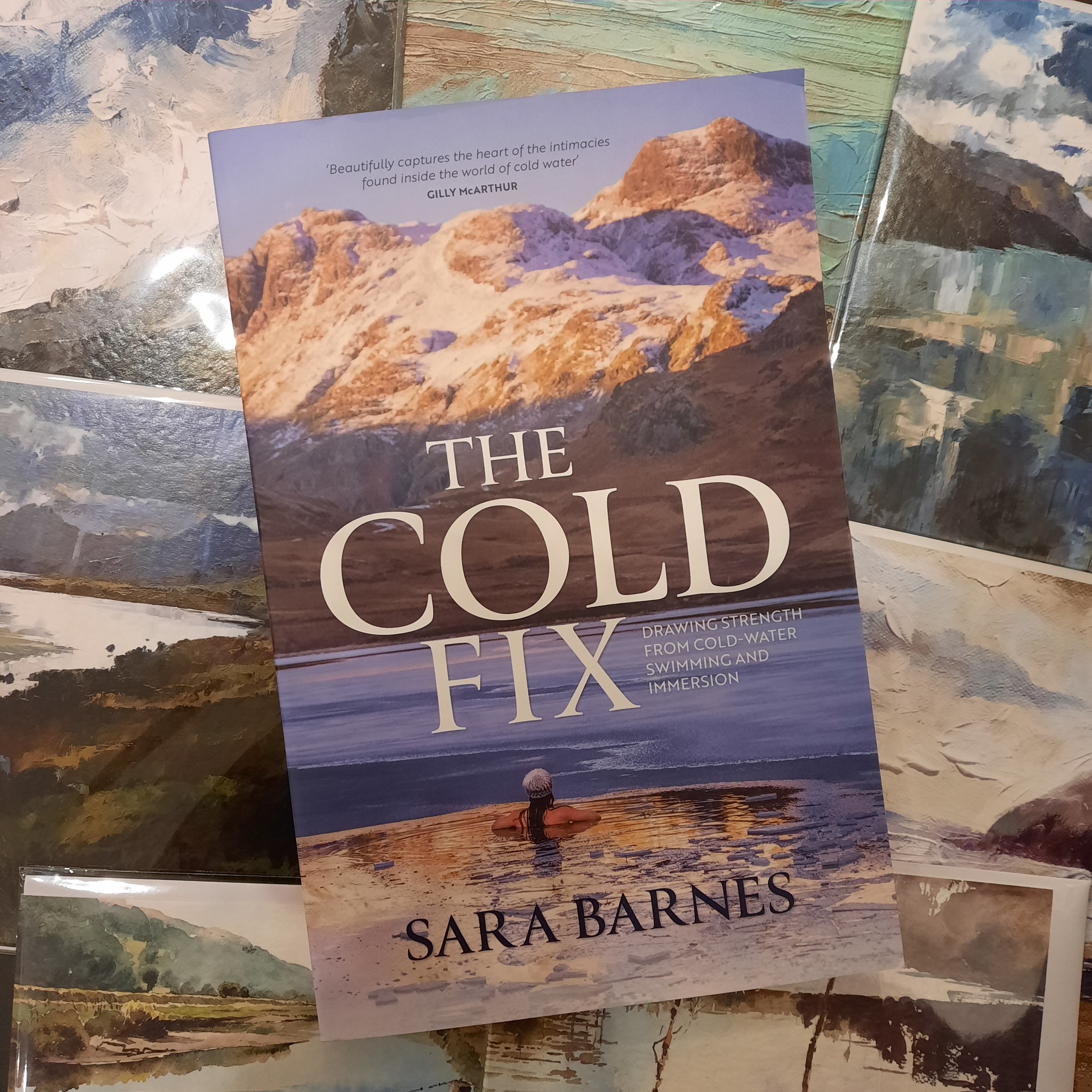 🌊THE COLD FIX by Sara Barnes. . 'The... - Browsers Bookshop