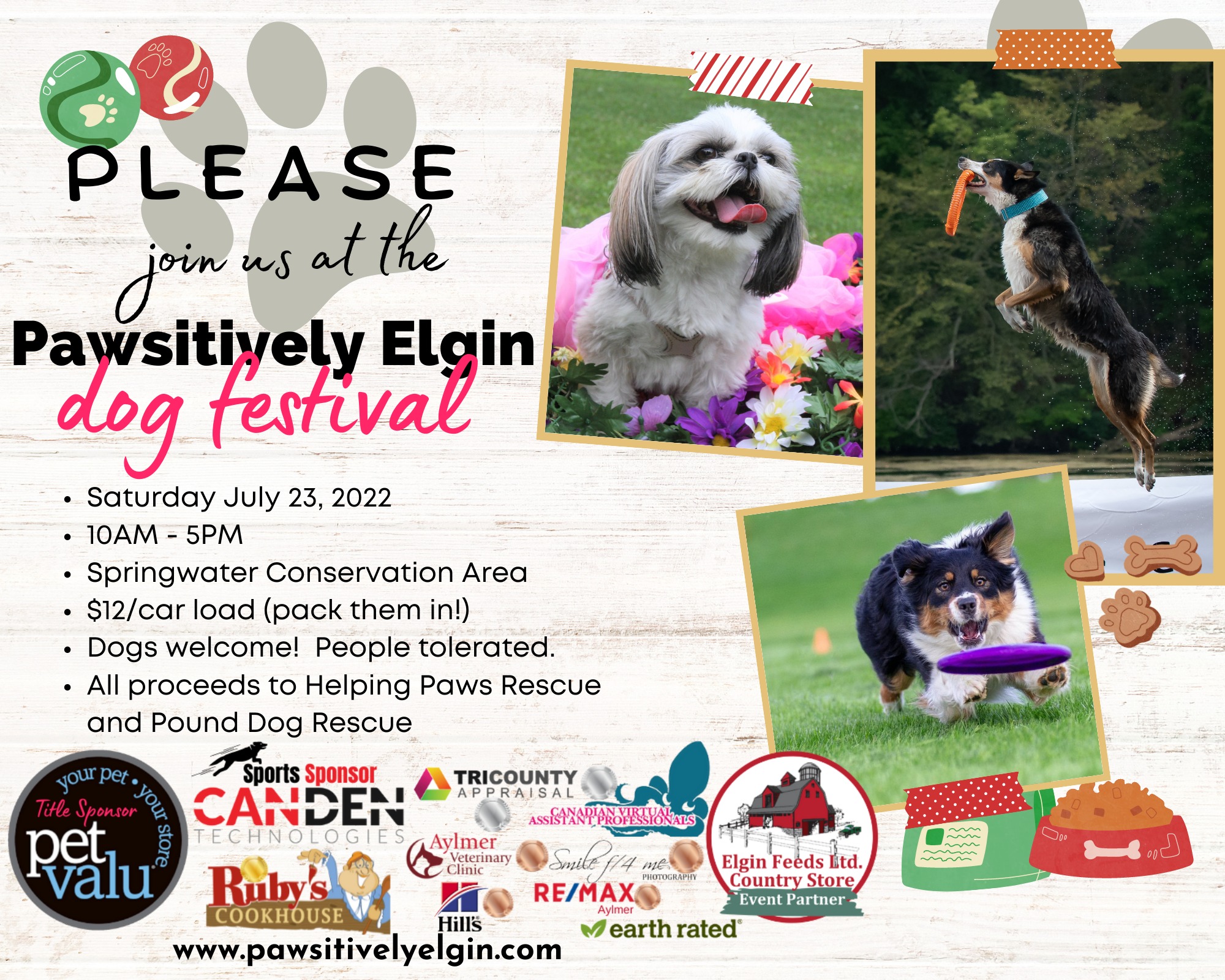 The countdown is on!!! Only 12 more... - Helping Paws Rescue