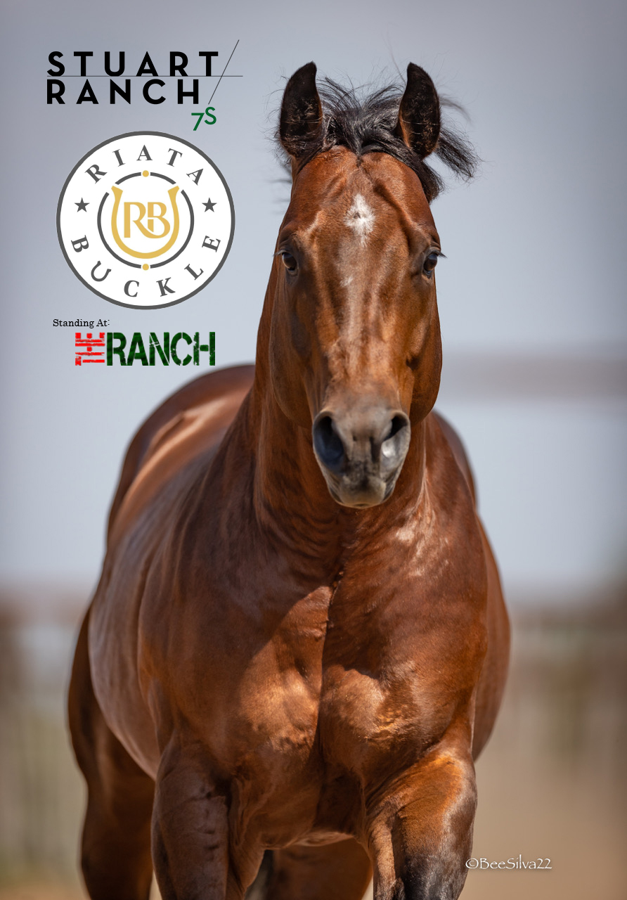 The Ranch Equine, Inc. - ⚾️💥 Welcome to the team 𝐒𝐞𝐯𝐞𝐧 𝐒 𝐆𝐫𝐚𝐧𝐝 𝐒𝐥𝐚𝐦 ...