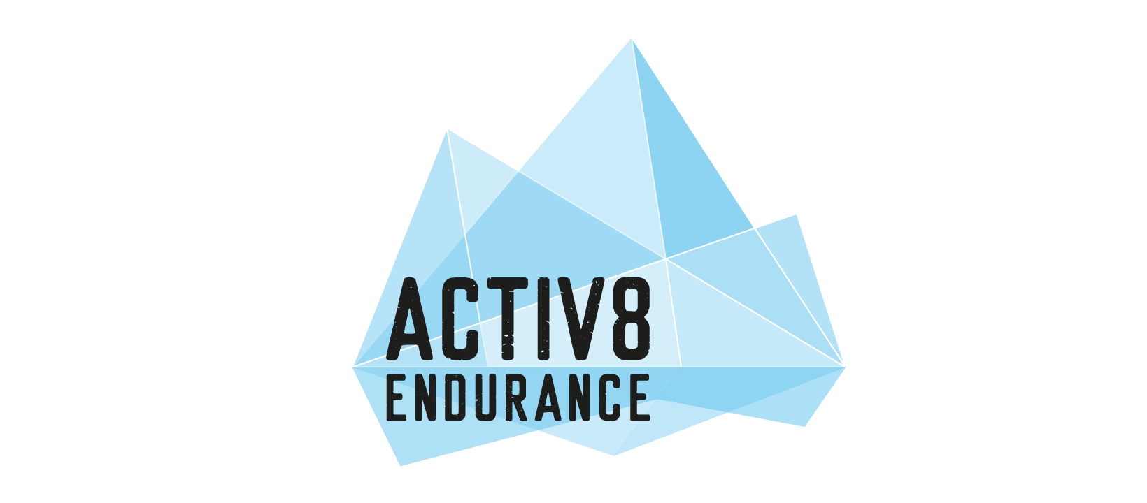 Activ8 Endurance