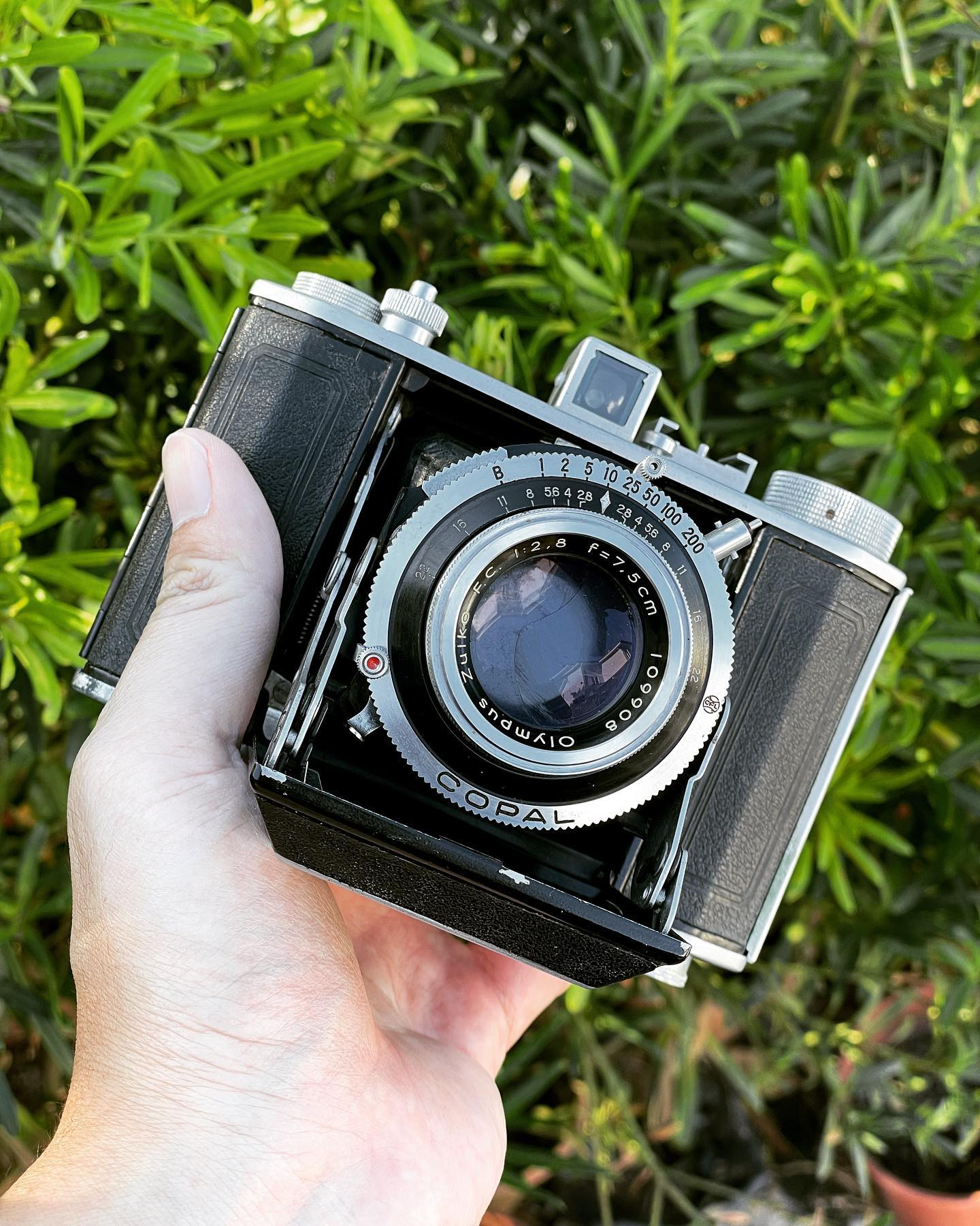 Olympus Chrome Six Camera Models and Features
