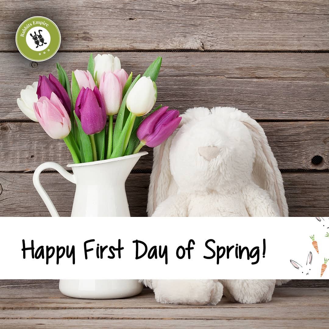 Rabbits Empire - 🌻 Happy first day of spring! This is the best time for ...