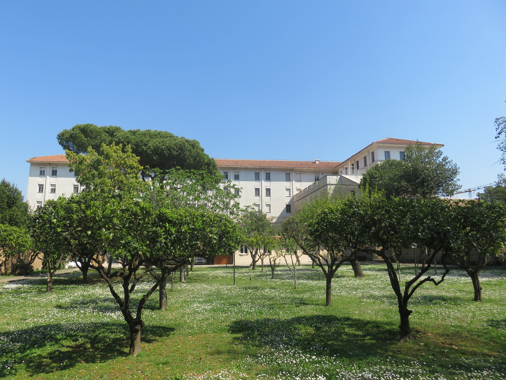 The Pontifical Beda College | Rome