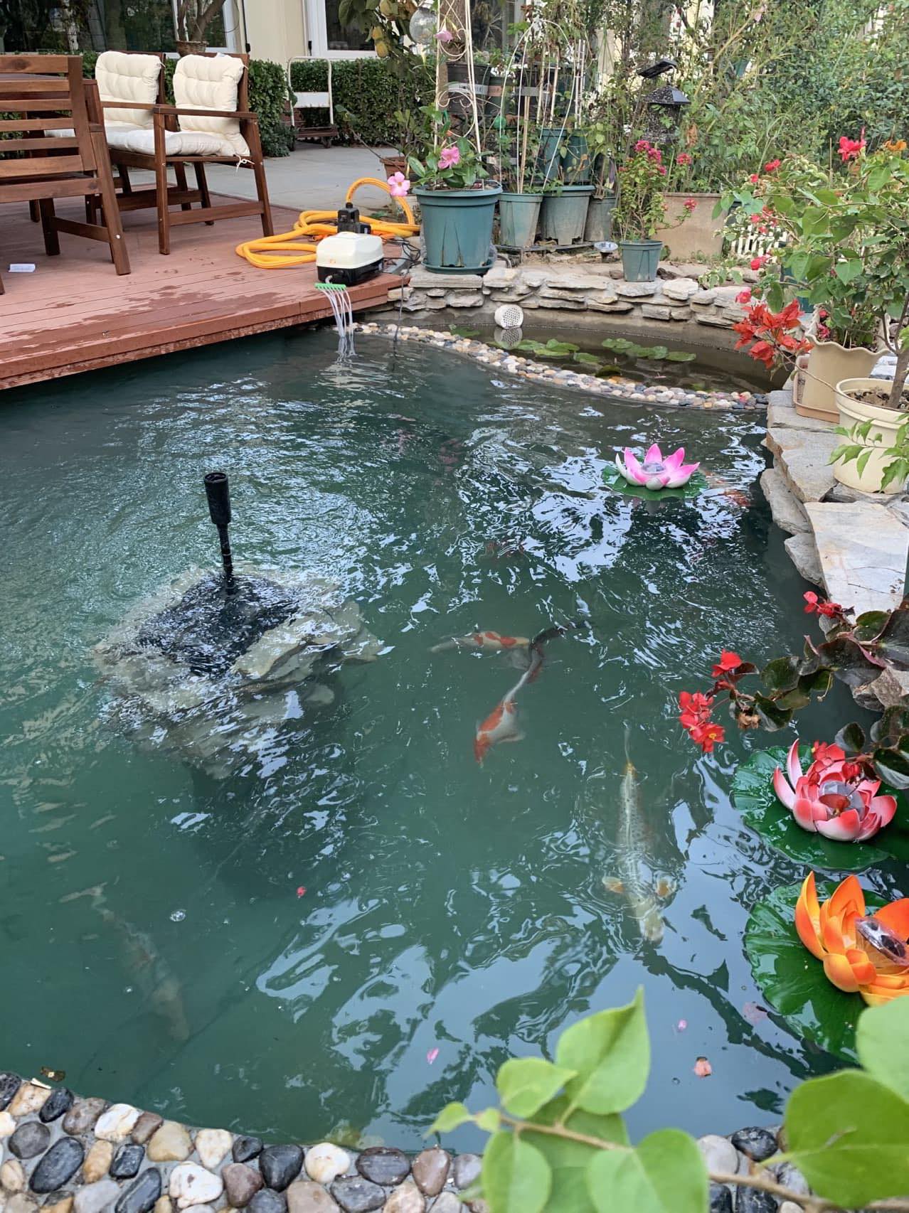 Yima’s Garden | Clarksville TN