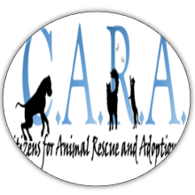 Be sure to tune in Friday October 9th for WCIA's morning show and Pet ...