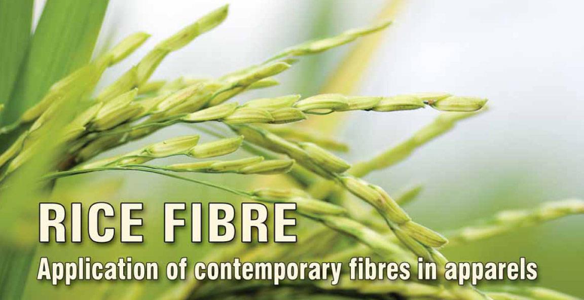 Apparel Views - Rice is the biggest crop in the world. Every year ...