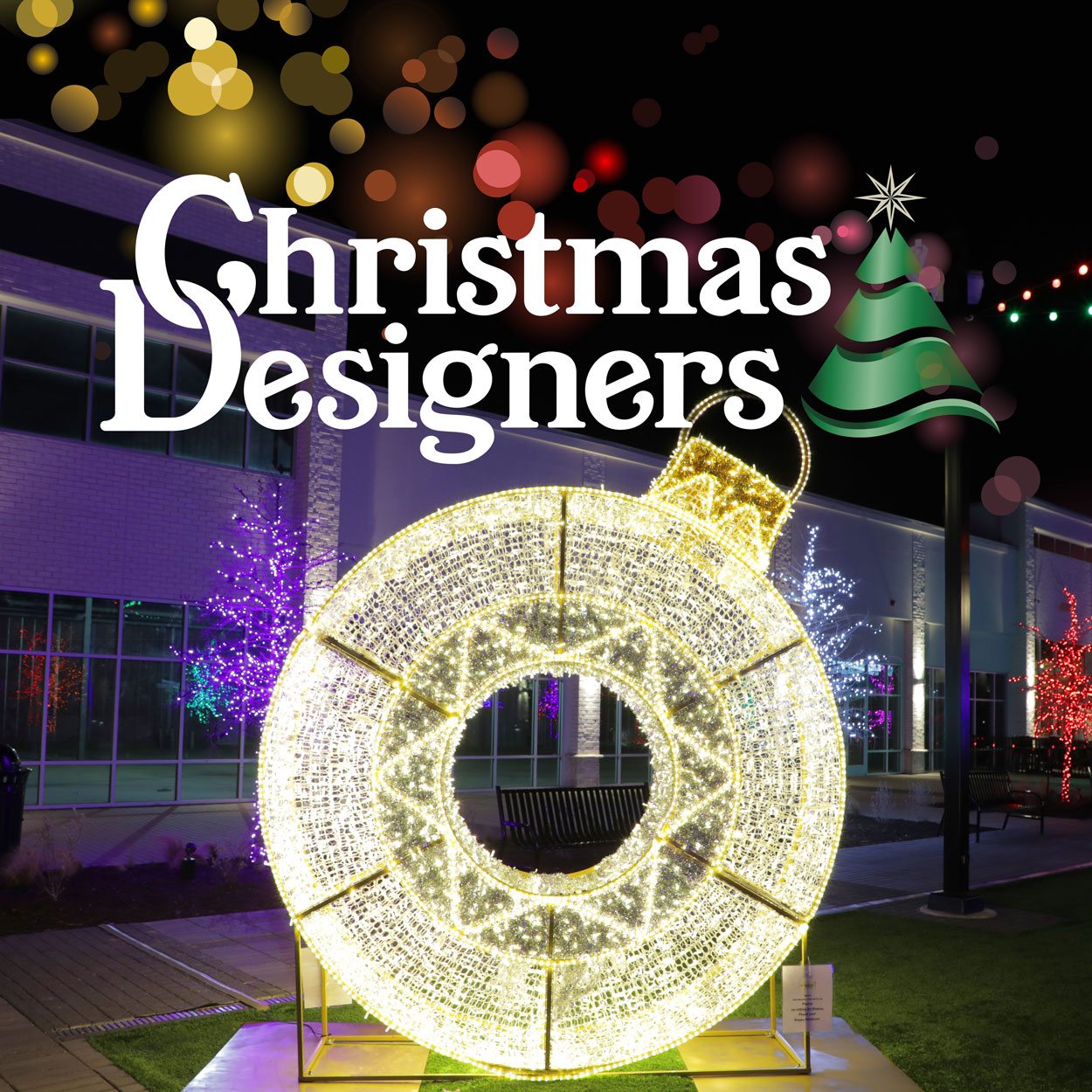 Pro Christmas RGB Coaxial Lights have a gallery of animated effects ...