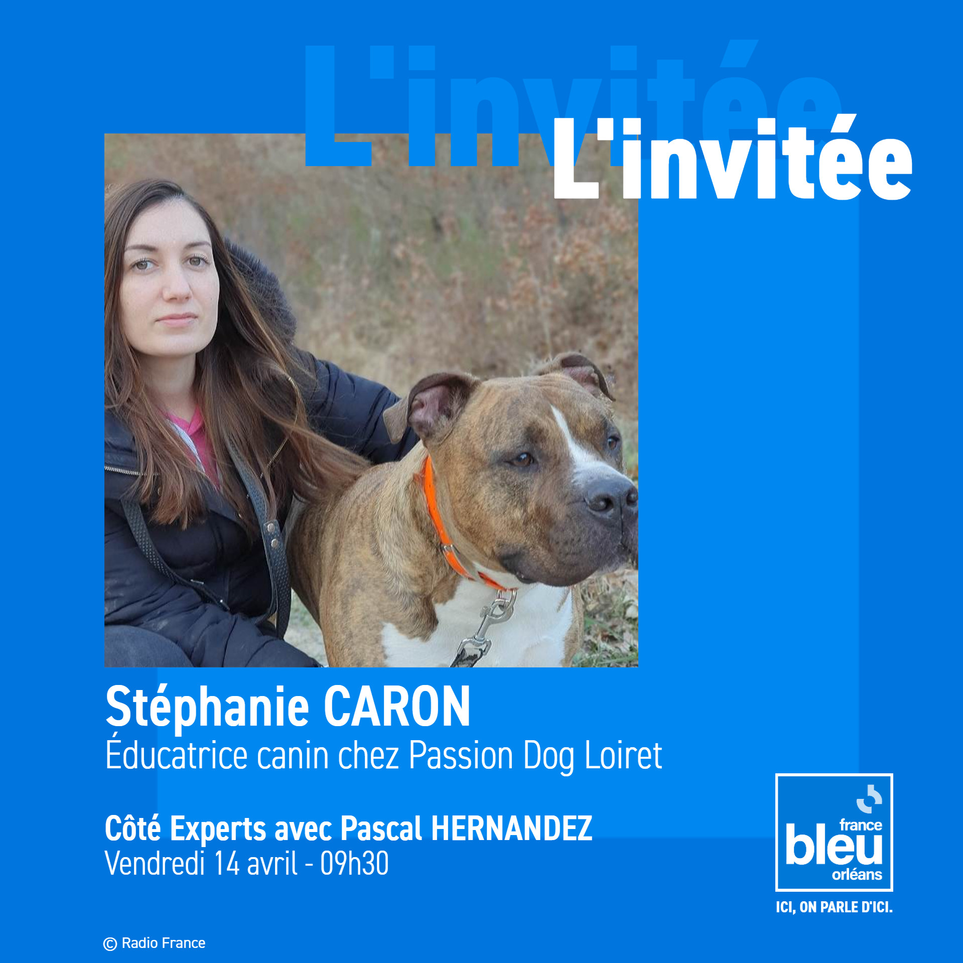 ici Orléans - 🐶 Ce vendredi 14 avril à 09h30 dans l'émission côté ...