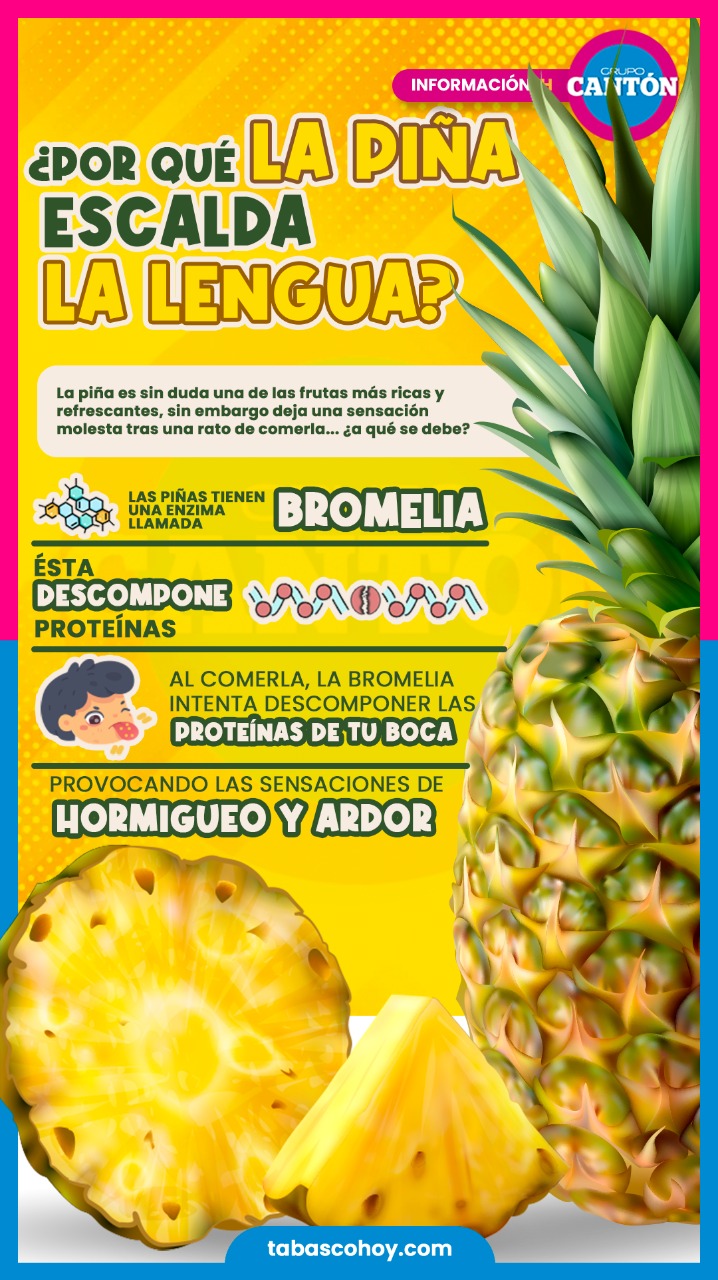Tabasco HOY - #Infografía📌| La piña es sin duda una de las... | Facebook