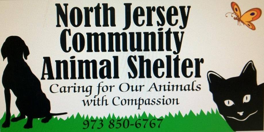 NJ Animal Observer - New Report Exposes the ASPCA for the Scam It Is ...