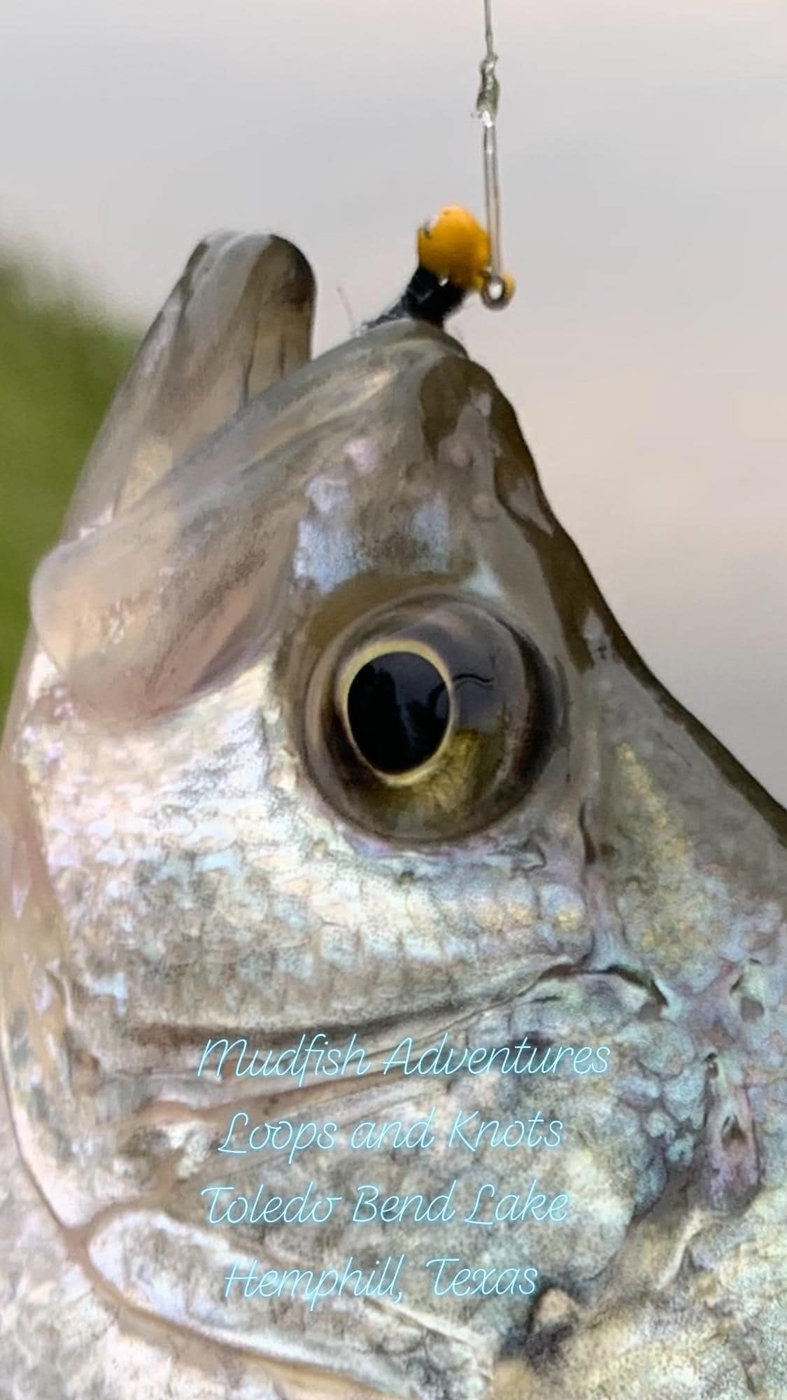 sinking braided fishing line Sunline Almight PE shotting and vertical underwater Tackle Top 5 Baits For Size:6'10