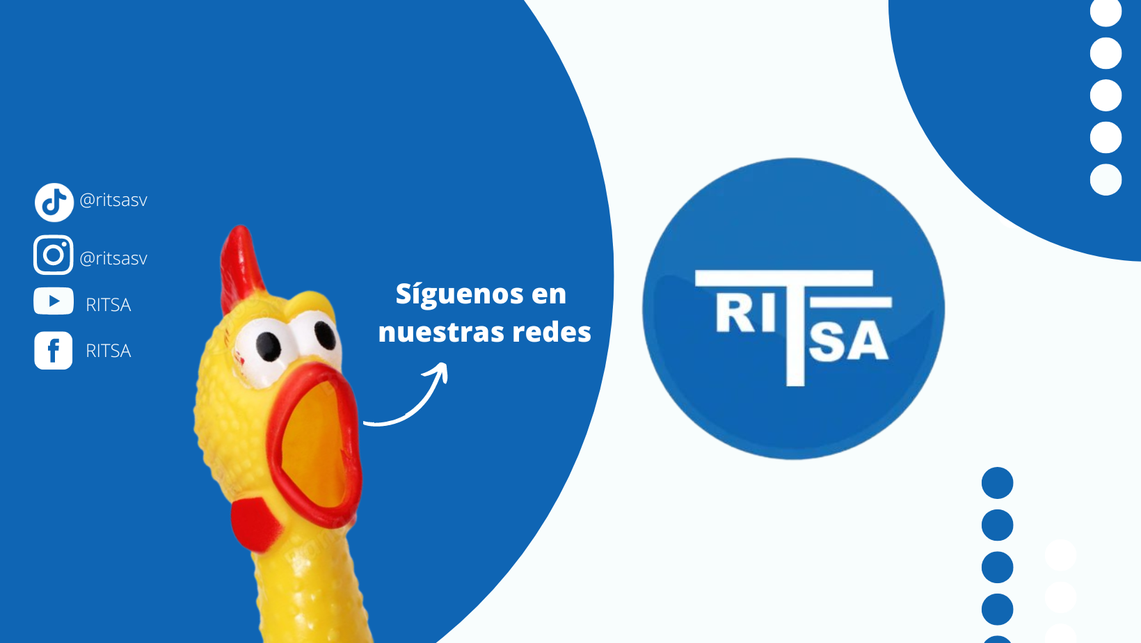 RITSA
