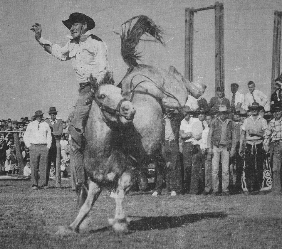 This is the famous Curio, undefeated for 8 years, who is part of rodeo ...