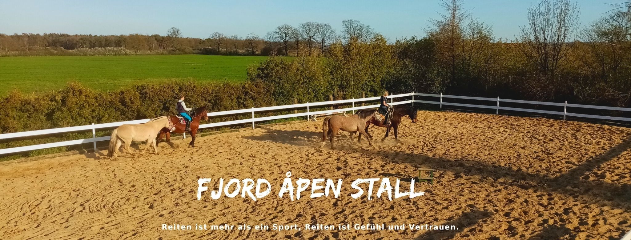Fjord Åpen Stall | Seegrehna
