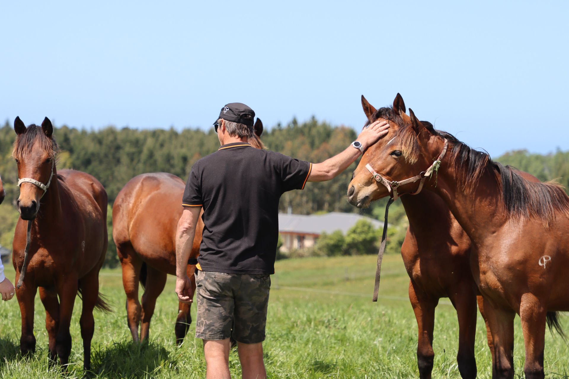 LOVERACING.NZ - Aaron Tapper with Jon Snow at Clearview Park Stud 💛 💙 ...