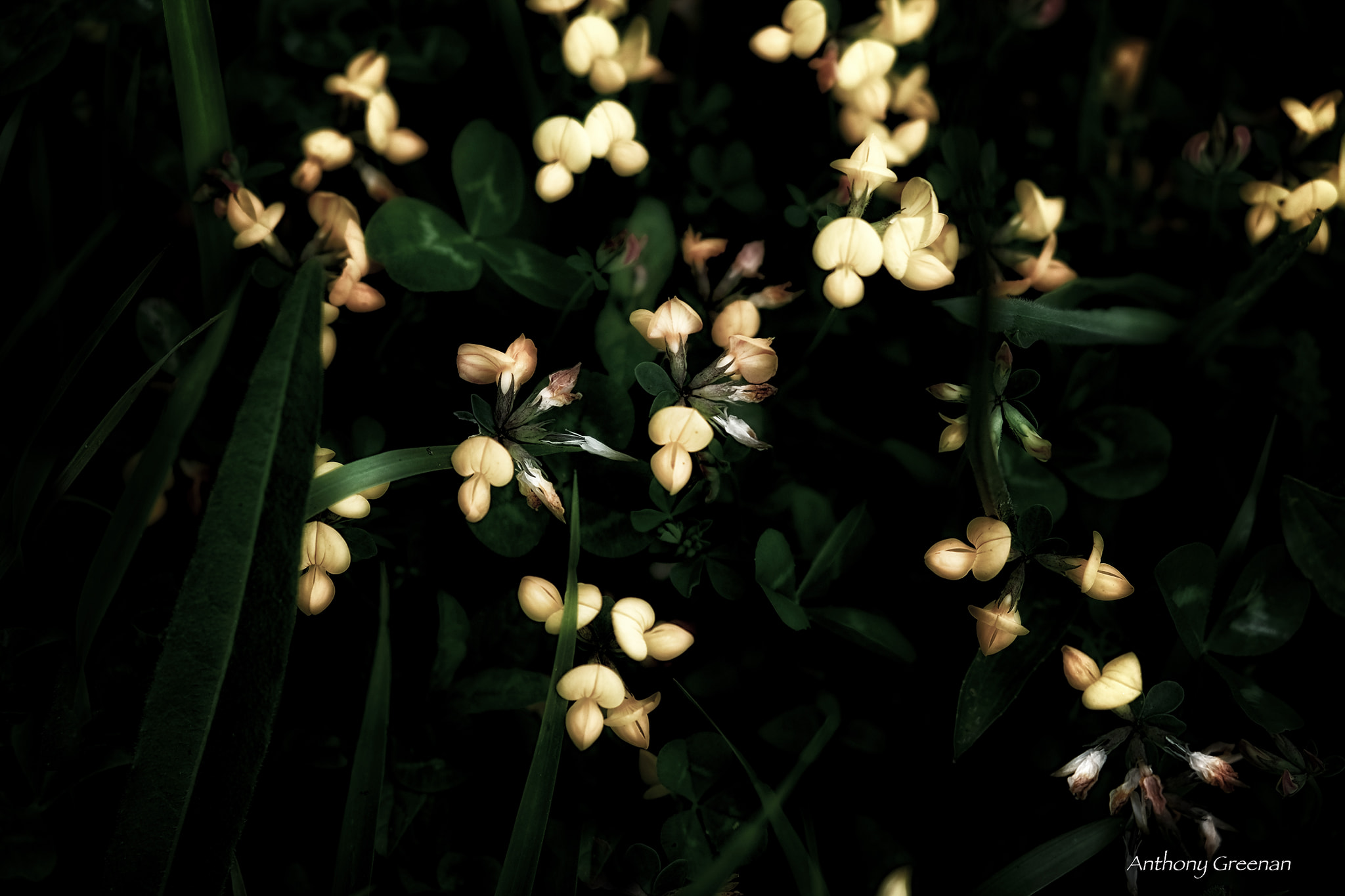Fuji X-T20 (XF18-55mm 2.8-4 R LM OIS)