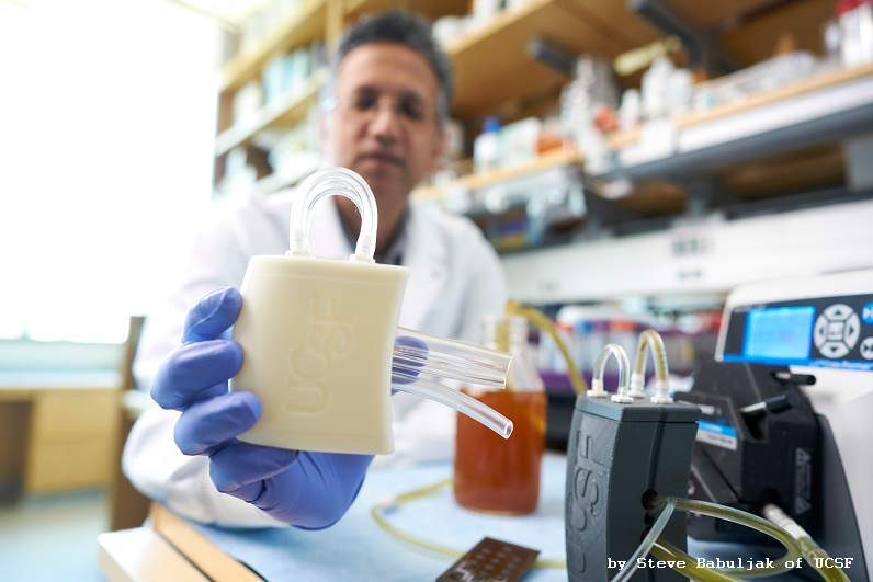 The Kidney Project
