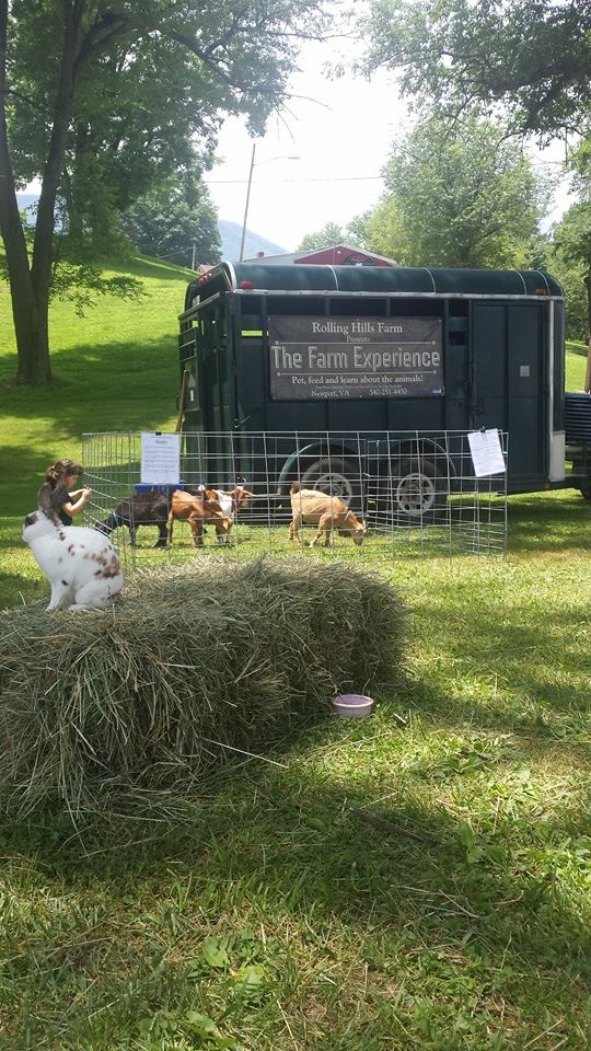 Spruce Ridge Tree Farm added a... - Spruce Ridge Tree Farm