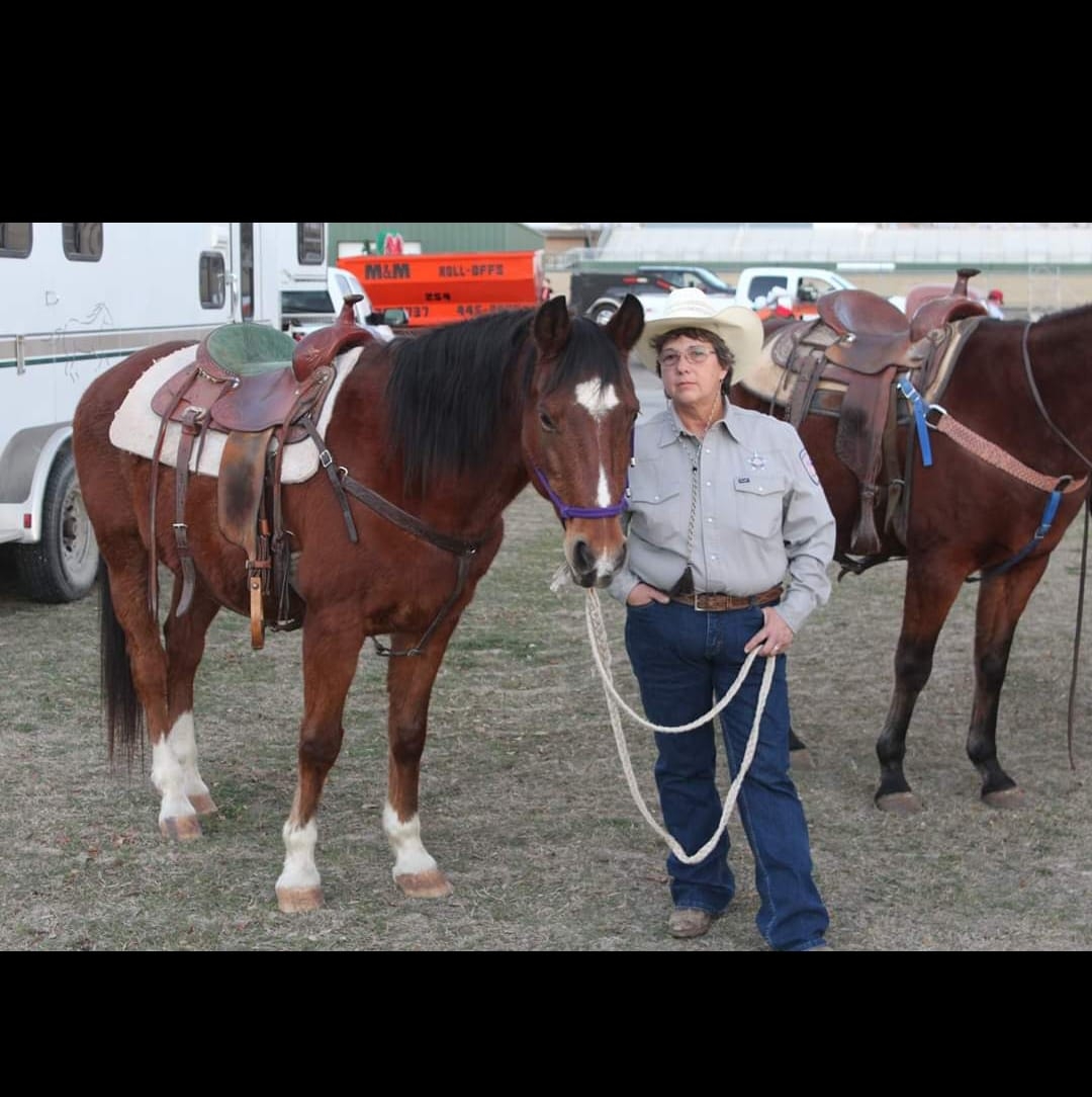 Appaloosa Color and Pattern Inheritance Genetics | Just a question ...