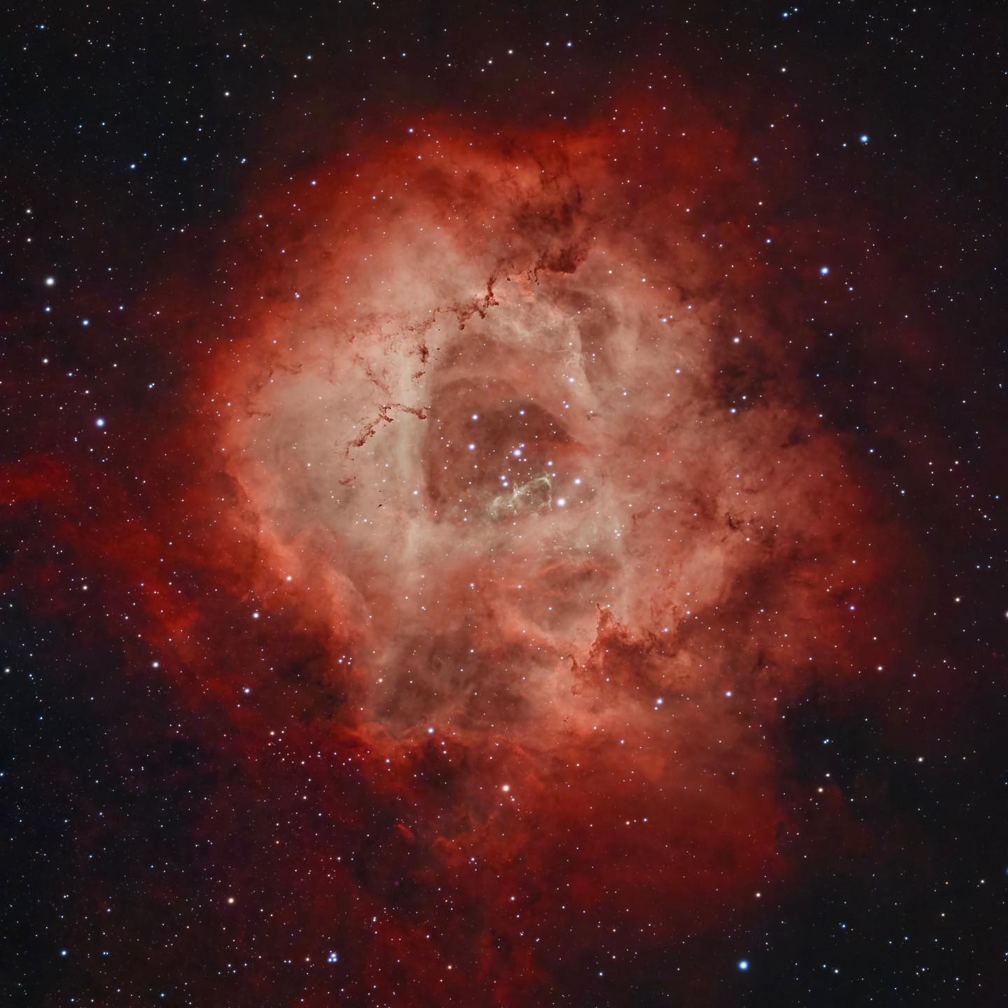 Valentine's Day astronomy: Rosette Nebula image