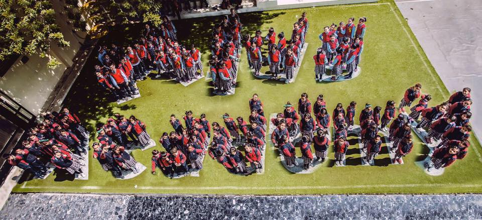 New Harvard... - New Harvard American Bilingual School | Facebook