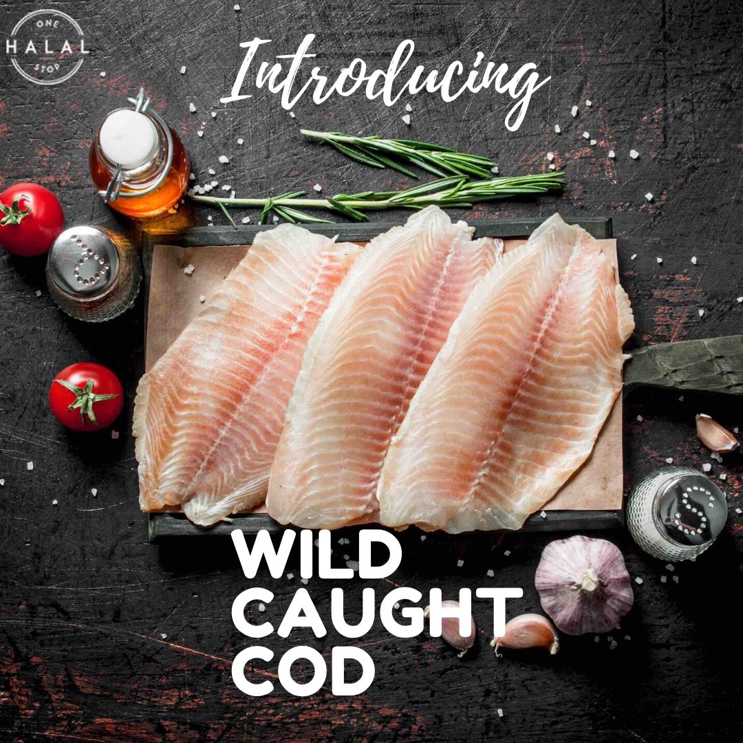 One Stop Halal - We are celebrating the Fish Festival this... | Facebook