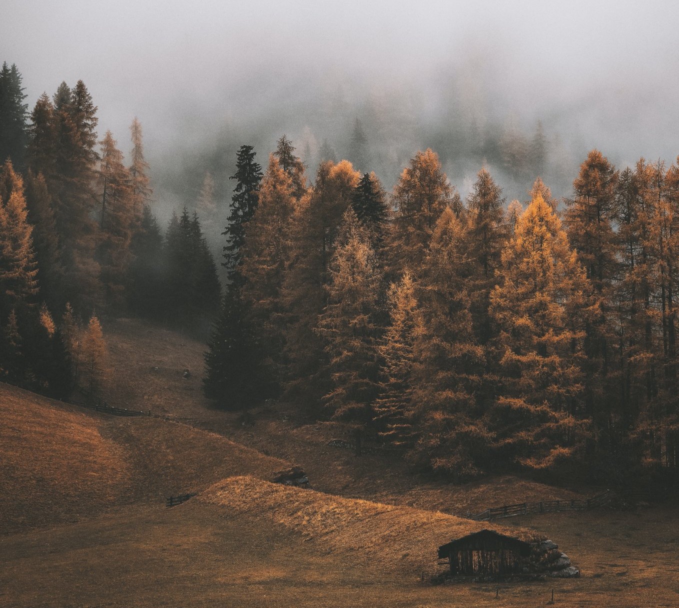 Ruta - Hello everyone! Ruta Verde is excited to announce that we've ...