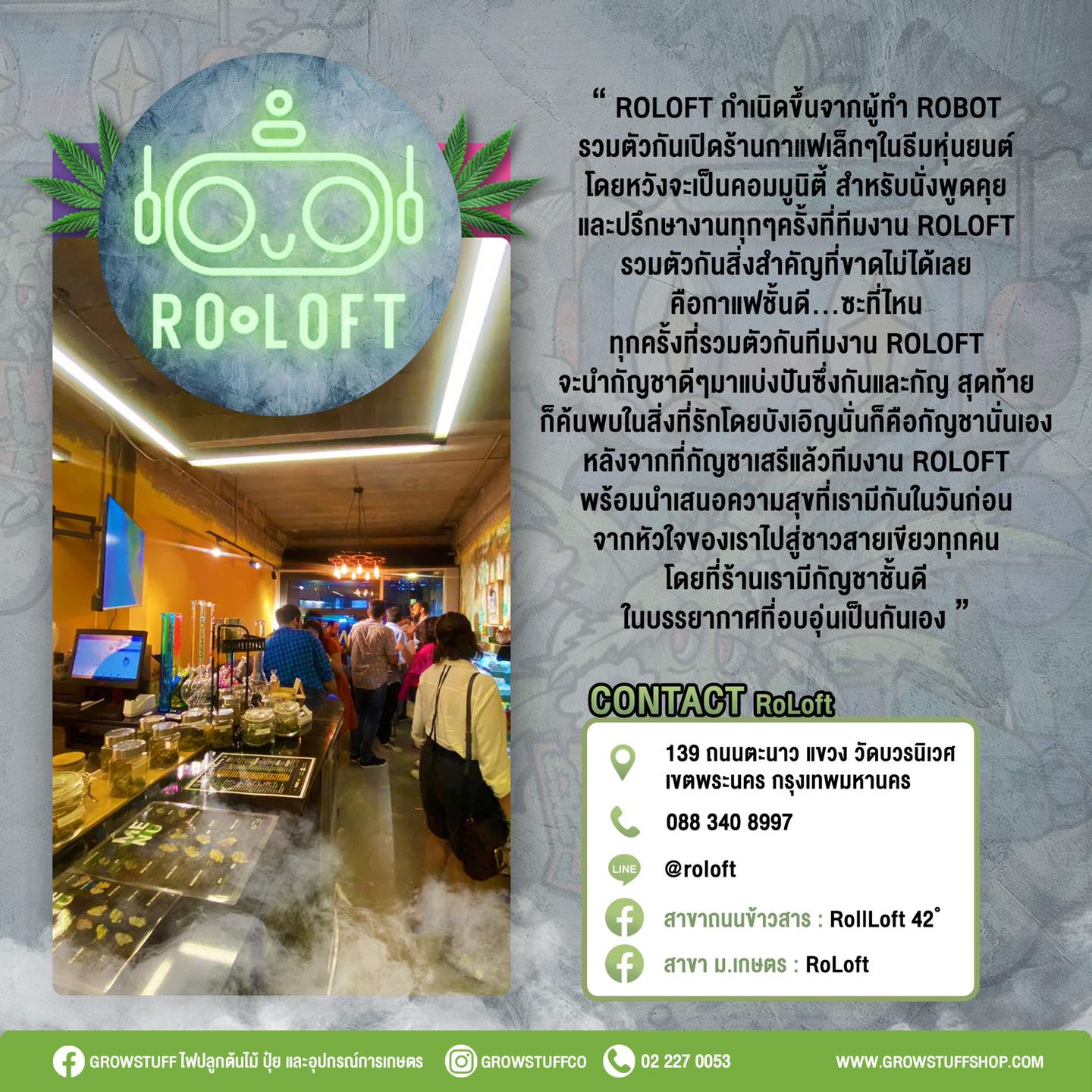 เสรีกัญชา - THC สูงไปอาจไม่ดีกับการนำมารักษาเซลล์มะเร็ง บทความโดย ภก. ...
