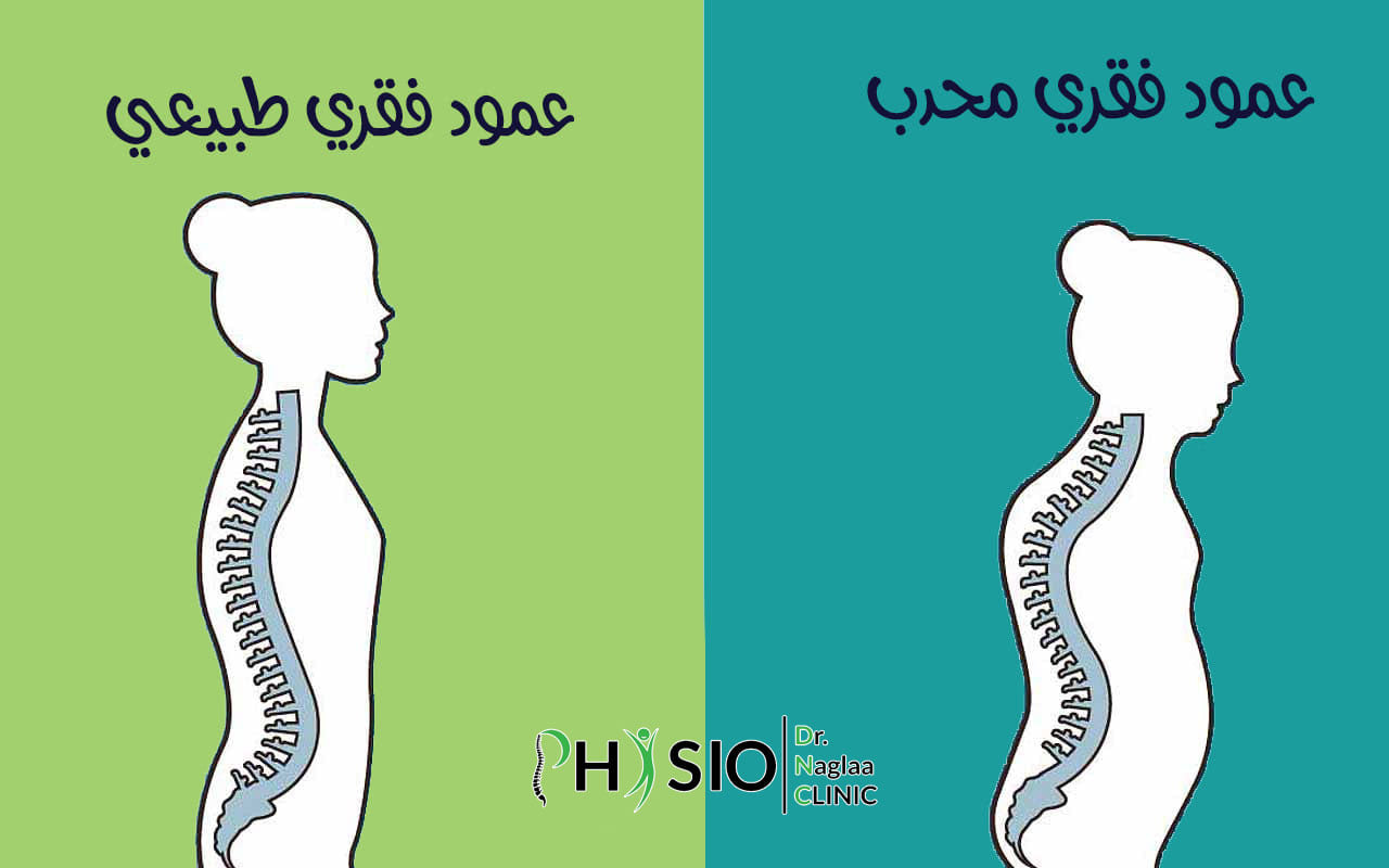 Dr.Naglaa Physio Clinic مركز د.نجلاء كشاف للعلاج الطبيعى والتغذية ...