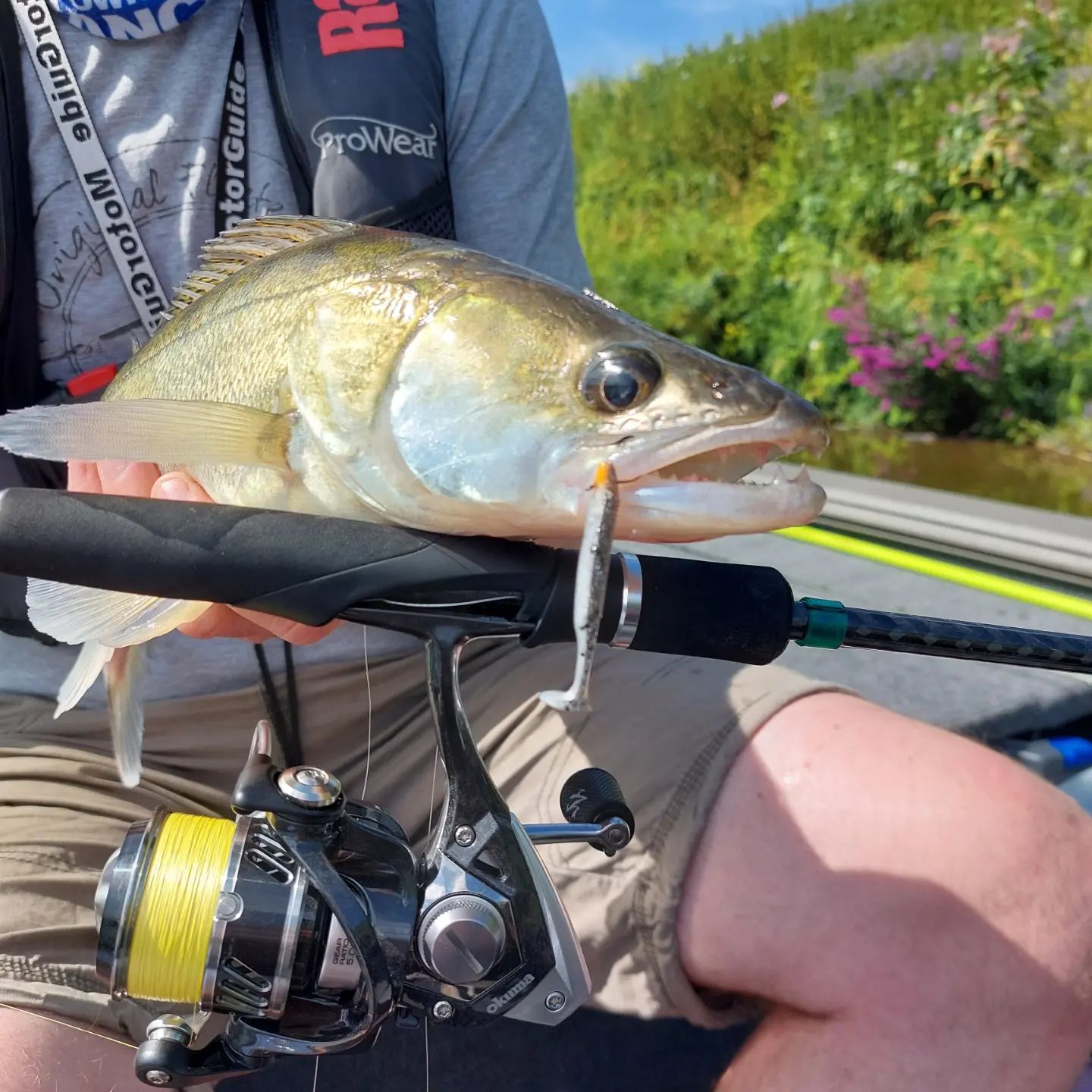 best bluewater fly reel Big Catch Fishing Tackle Reel Types Best Fishing color:Slate GREEN 20LB Pearll This aluminum is tempered